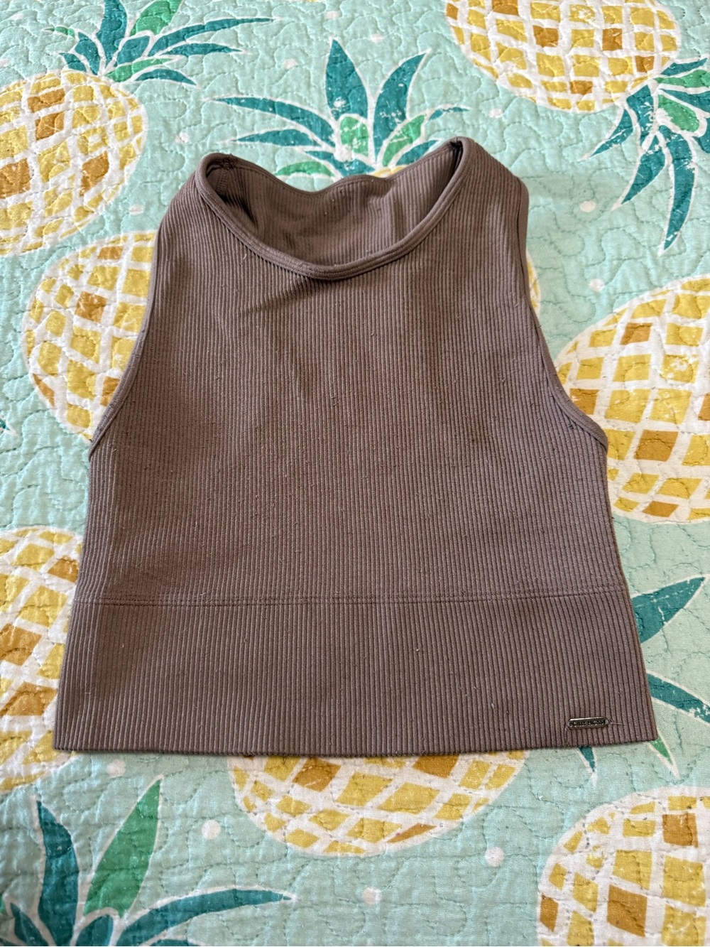 Gilly Hicks Sleeveless Ribbed Mock Neck Crop Top